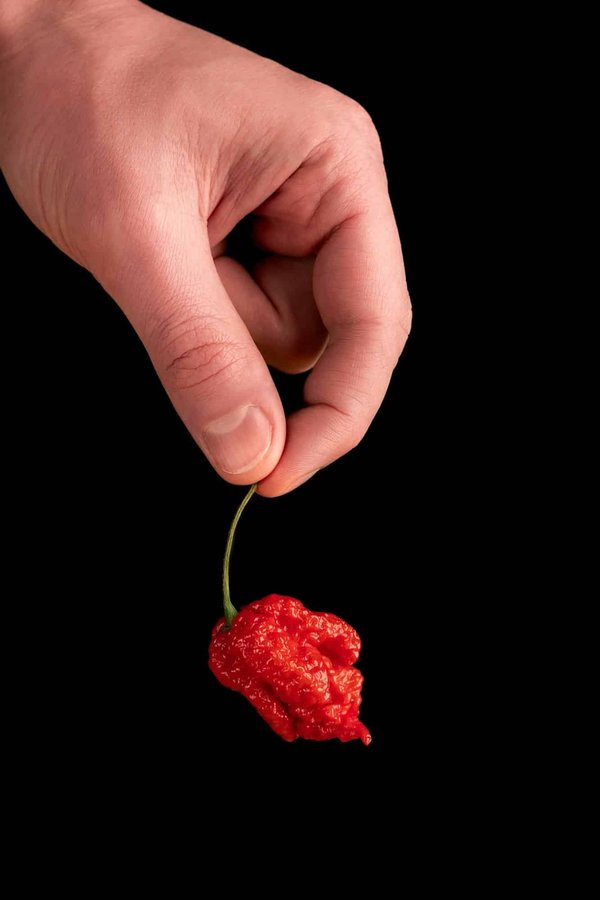 Découvrez les secrets de la Carolina Reaper en cuisine