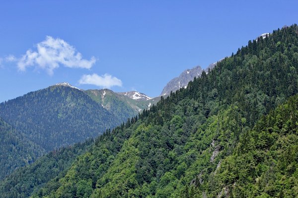 Voyage culinaire avec les épices orientales d'epicime.com